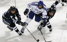 体育彩票|佛罗伦萨终结不胜魔咒 五大联赛仅剩狼队一胜难求