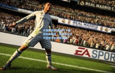 中国体彩网|聚光灯下最亮的那颗星，樊振东在乒乓世界中的璀璨征程