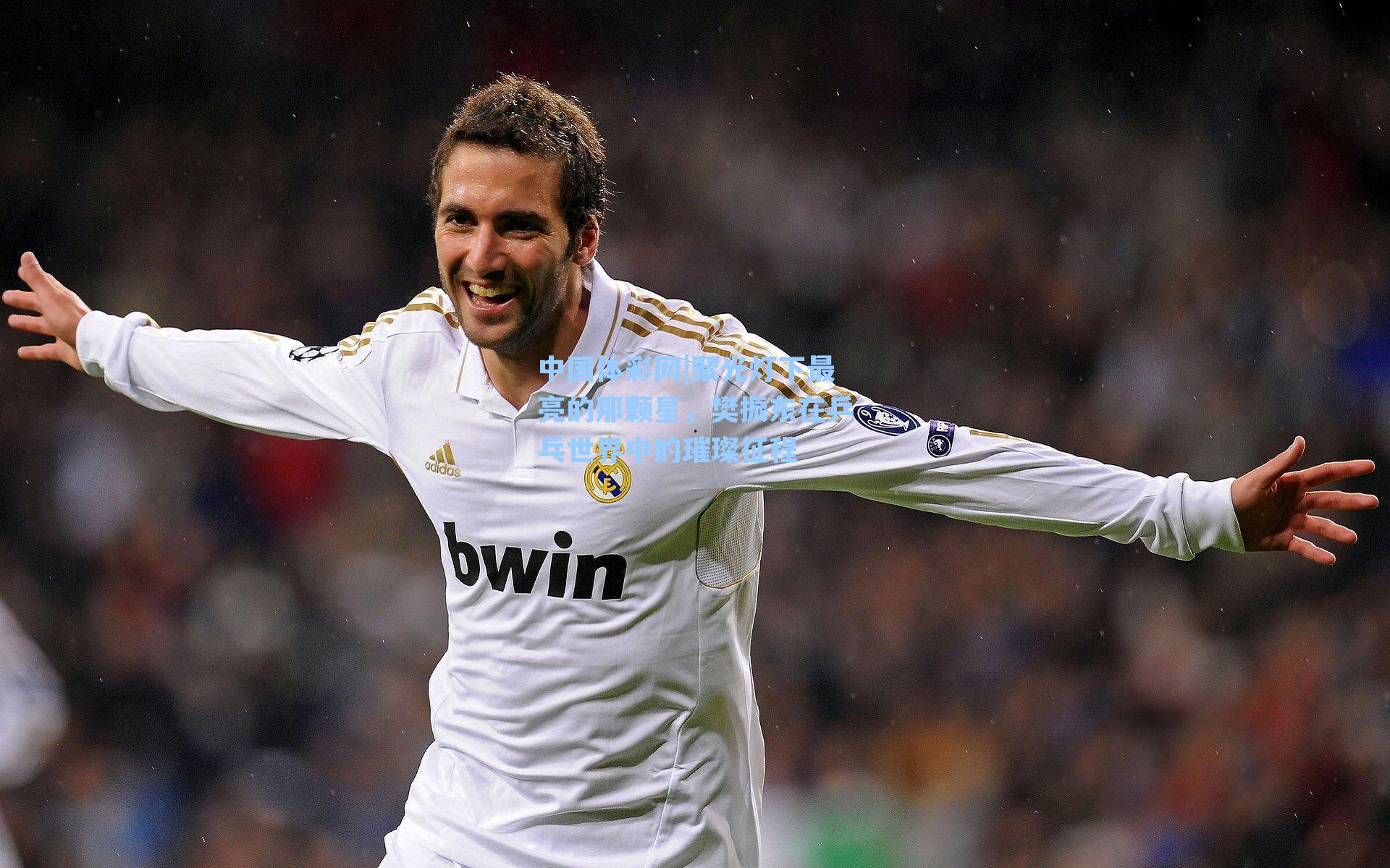 聚光灯下最亮的那颗星,樊振东在乒乓世界中的璀璨征程