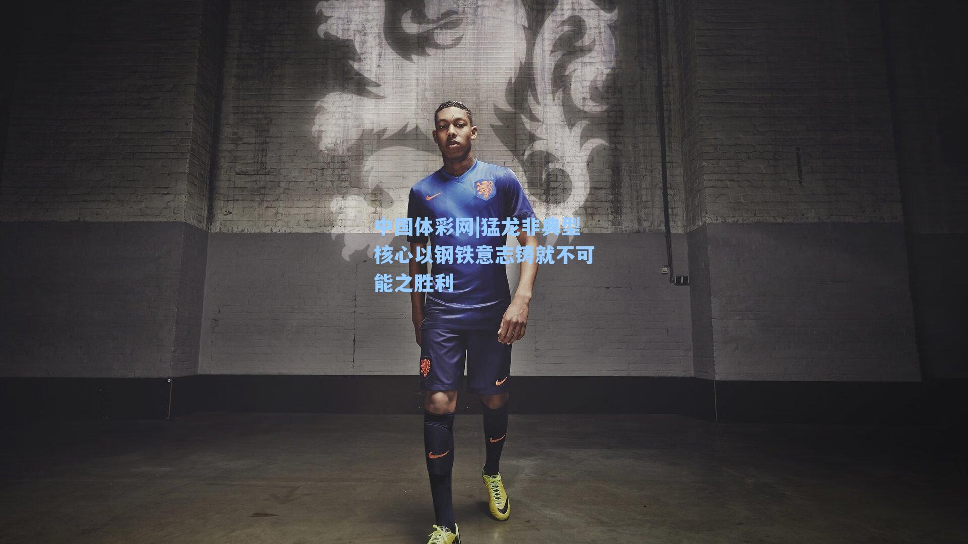猛龙非典型核心以钢铁意志铸就不可能之胜利