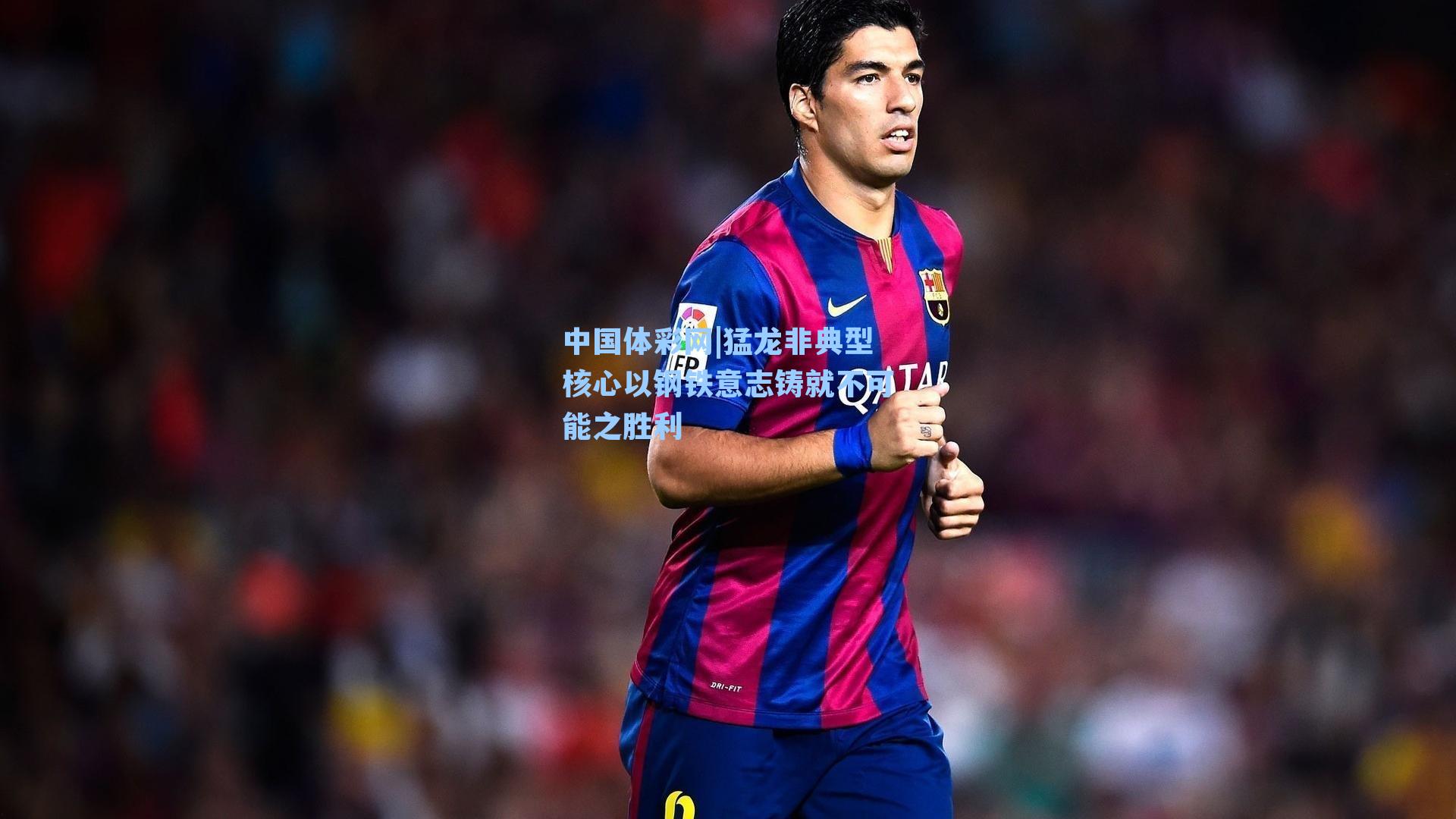 猛龙非典型核心以钢铁意志铸就不可能之胜利