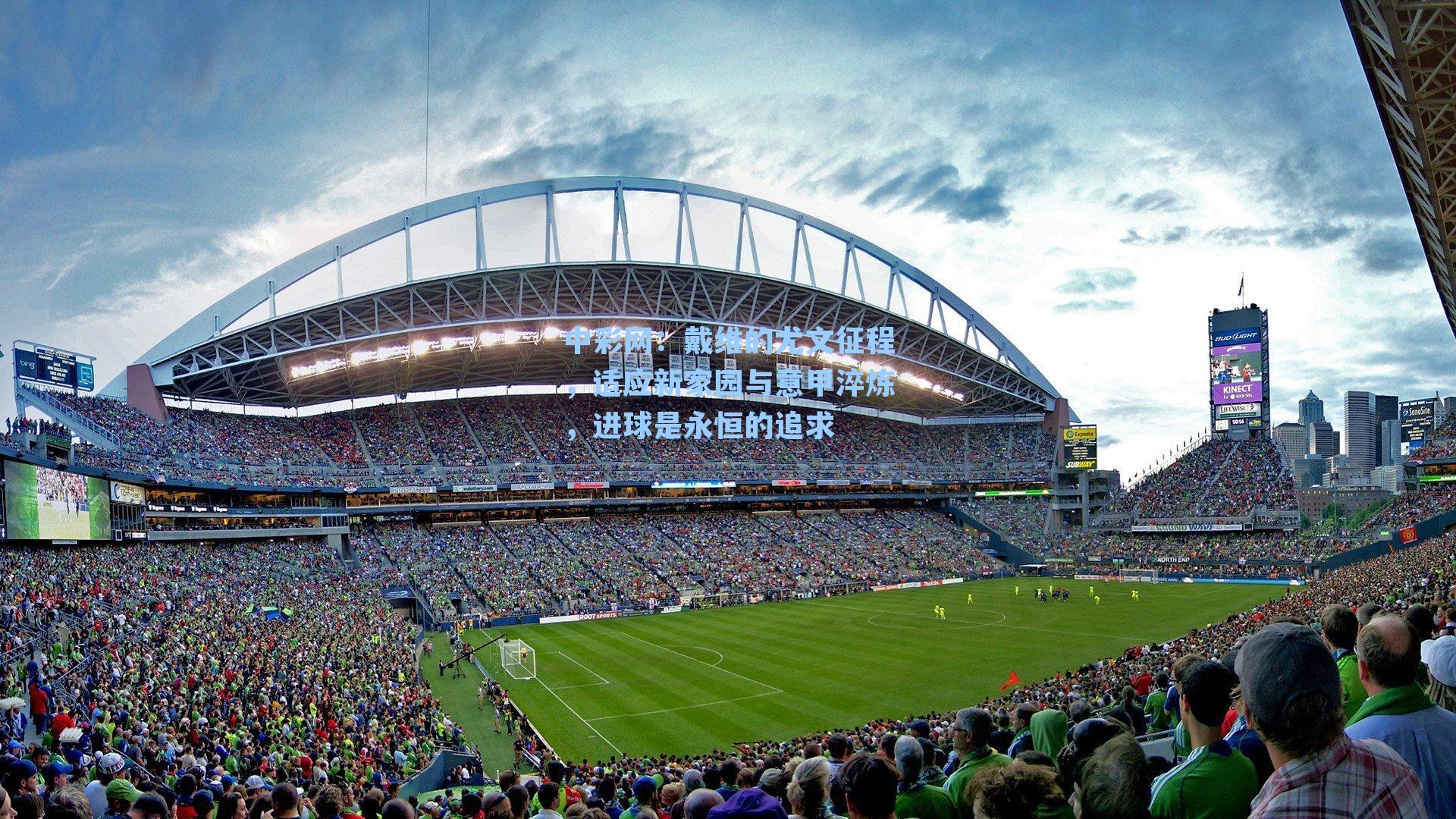 戴维的尤文征程，适应新家园与意甲淬炼，进球是永恒的追求